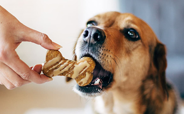 treats